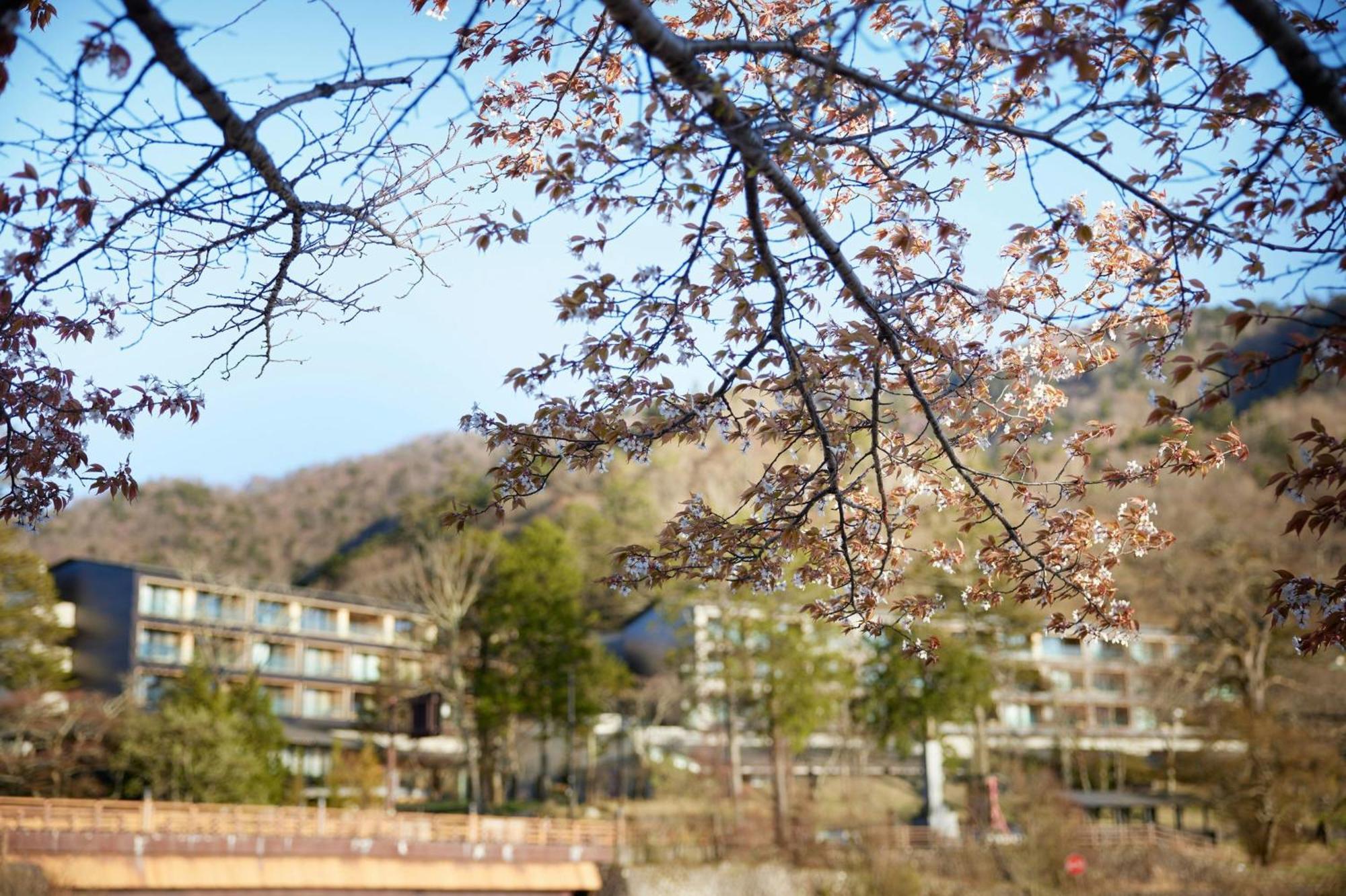 酒店 The Ritz-carlton, 5*